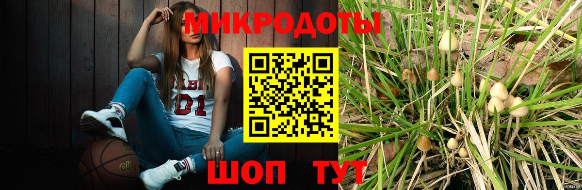 Галлюциногенные грибы ЛСД Ухта